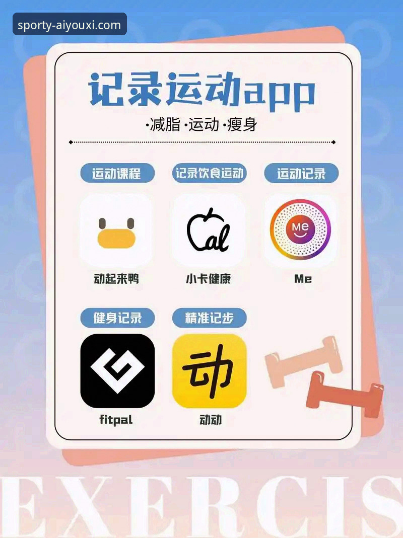 爱游戏体育APP新手入门指南：手机版vs最新版本，哪个更适合你？